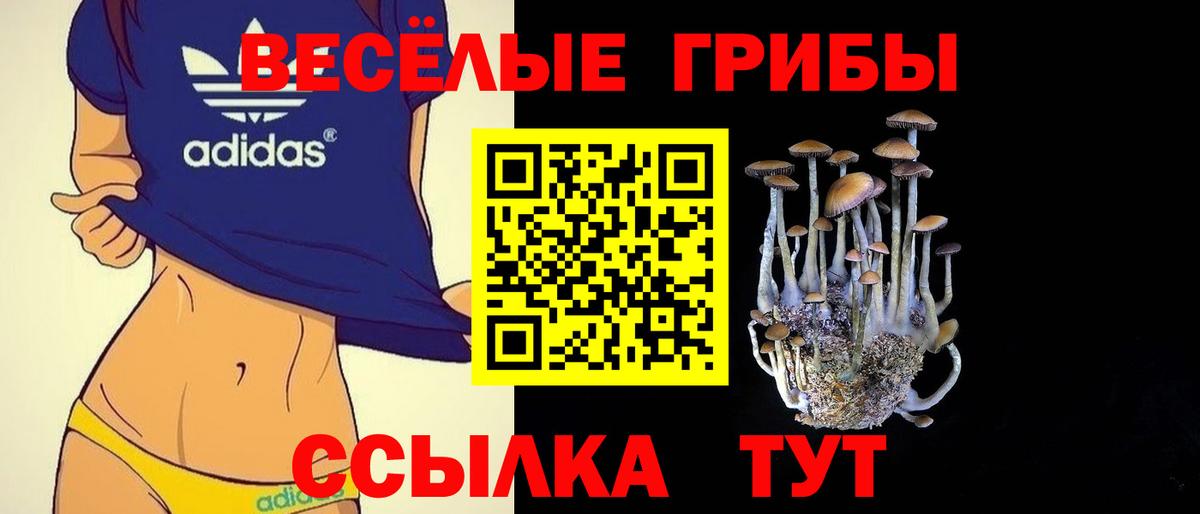 Рославль  Галлюциногенные грибы Psilocybe  Вход с VPN  Галлюциногенные грибы Cubensis 