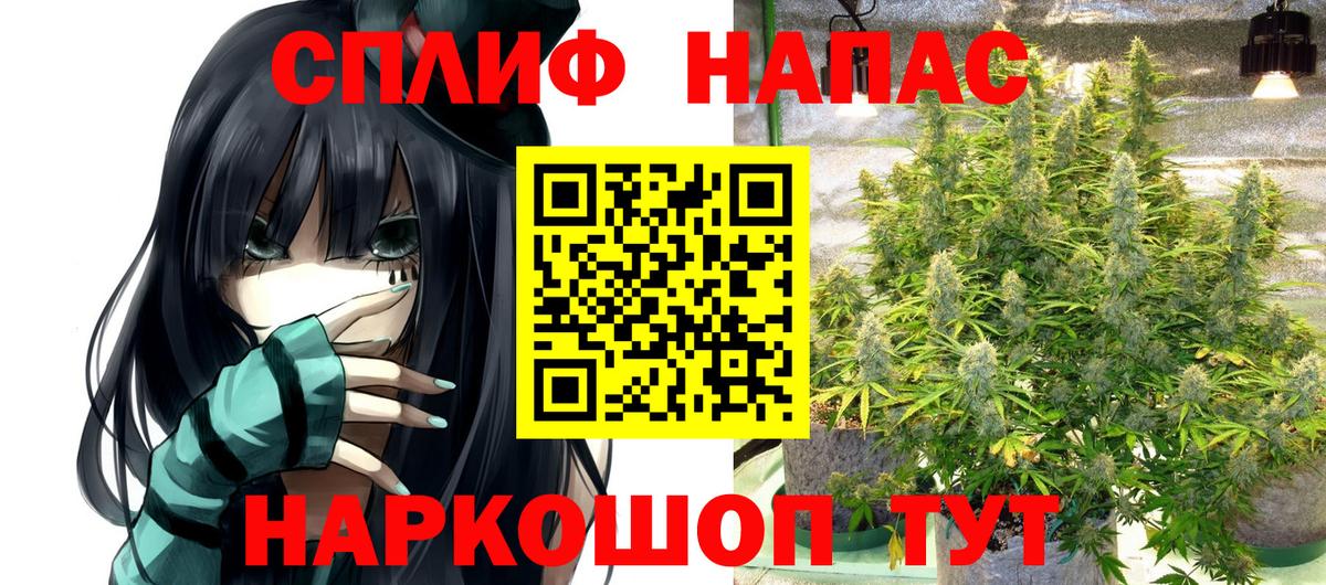 ГАШИШ Рославль